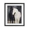Stupell Industries Equine Twins Of Wind Framed Print Under Glass, design by Svetlana Aleynikova